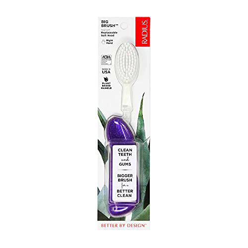RADIUS Cepillo de dientes grande sin BPA y aceptado por ADA